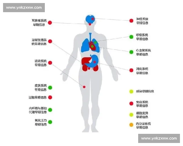全面健康监测系统：助力个性化健康管理与预防疾病的智能解决方案
