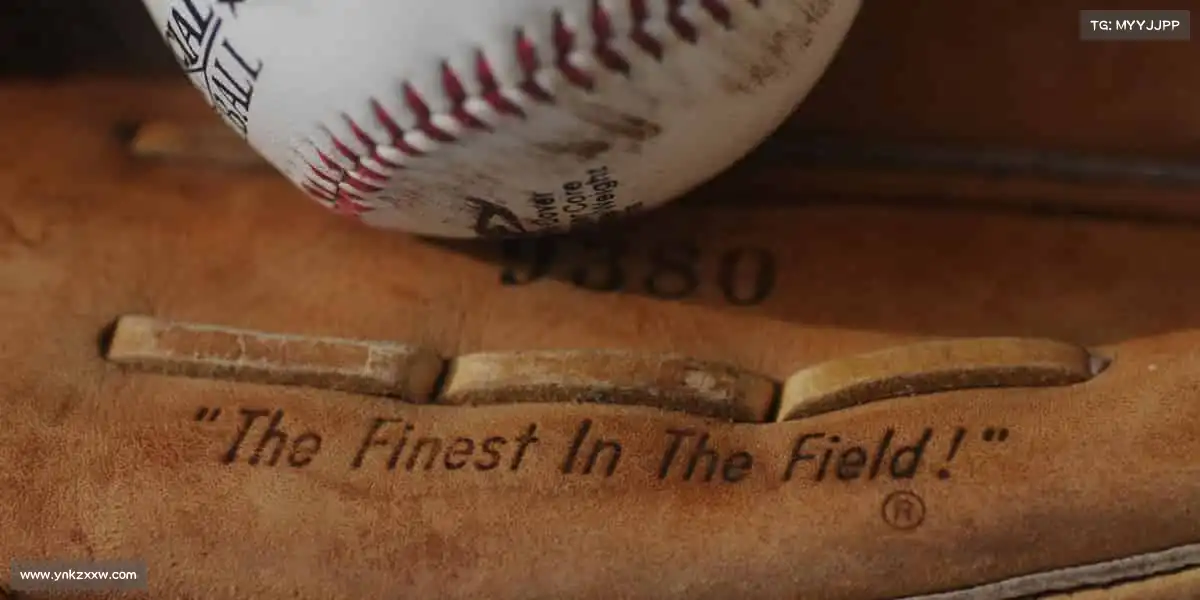 为什么选择我们